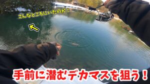 【エリアトラウト】ナリの大物釣り日記【管理釣り場・釣り・ガリバーフィッシングガーデン】