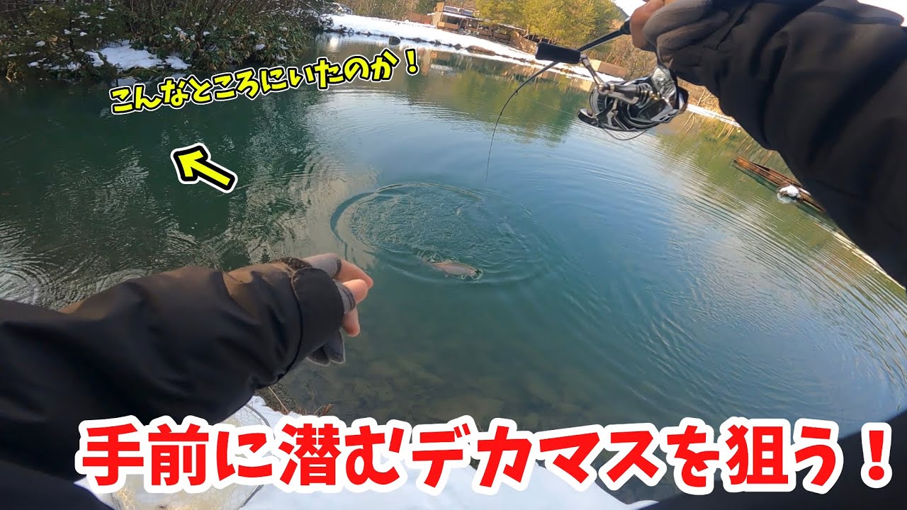 【エリアトラウト】ナリの大物釣り日記【管理釣り場･釣り･ガリバーフィッシングガーデン】