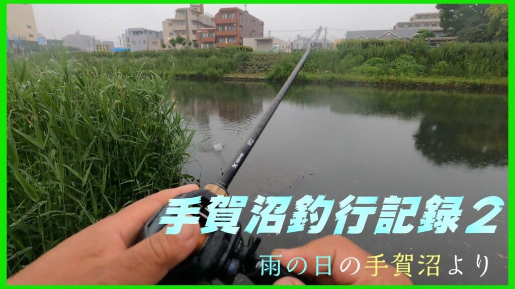 【バス釣り】警報級って聞いていたんですけど、朝起きたら行けそうだったので手賀沼に行ってみました！！