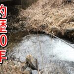 【渓流釣り】珍事発生！？渓流釣り歴２０年で初の出来事が！！