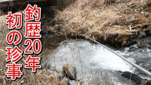 【渓流釣り】珍事発生！？渓流釣り歴２０年で初の出来事が！！