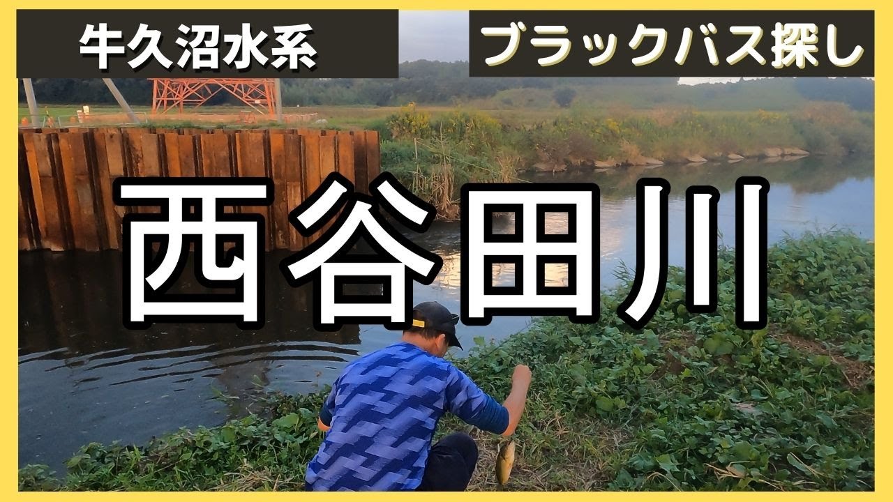 バス釣り!秋の牛久沼水系 西谷田川でスクーパーとチビタレル