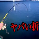 ミニ釣竿で海釣りしてたらとんでもない大物が掛かってしまった