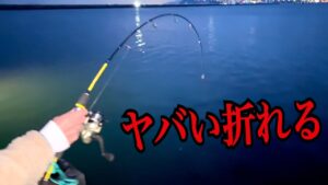 ミニ釣竿で海釣りしてたらとんでもない大物が掛かってしまった