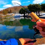 絶品の唐揚げが食べられる管理釣り場でマス釣り