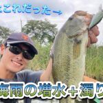 （バス釣り）梅雨の近藤沼はあまりにも難しいすぎた。