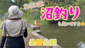 【ブラックバス】公園で沼釣り🐟️⛲️