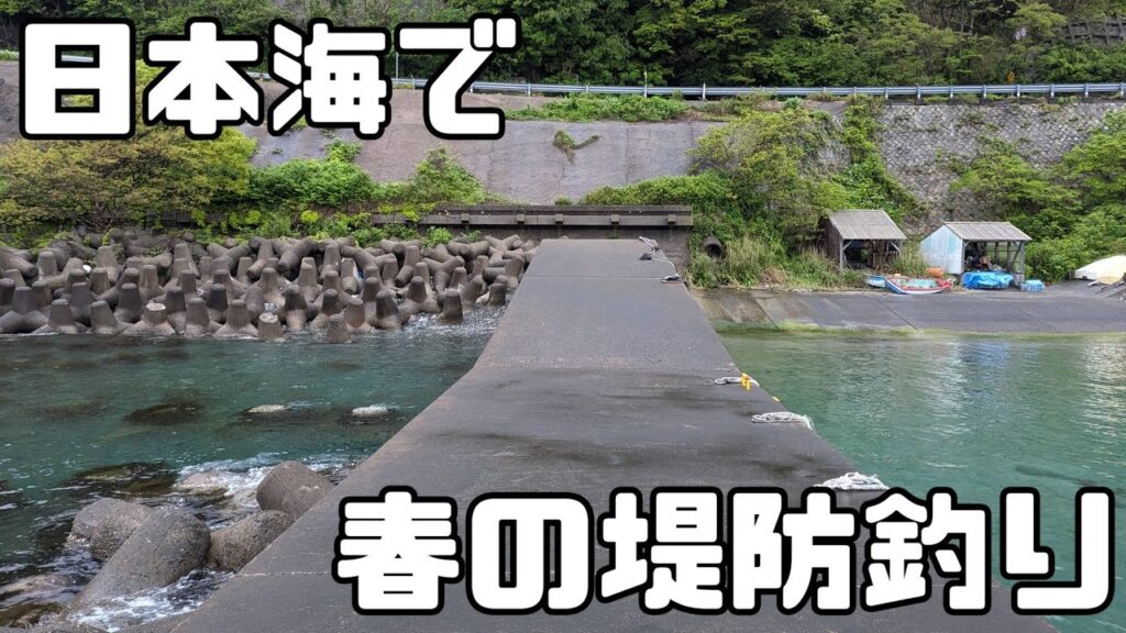 【福井】春の堤防フカセ釣りと渓流ルアー釣りを楽しみました【グレ釣り/アマゴ釣り/メジナ】