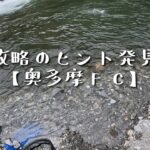 【テンカラ釣り】手応えアリ！？奥多摩フィッシングセンター初挑戦で見えた「奥多摩渓流攻略のヒント」