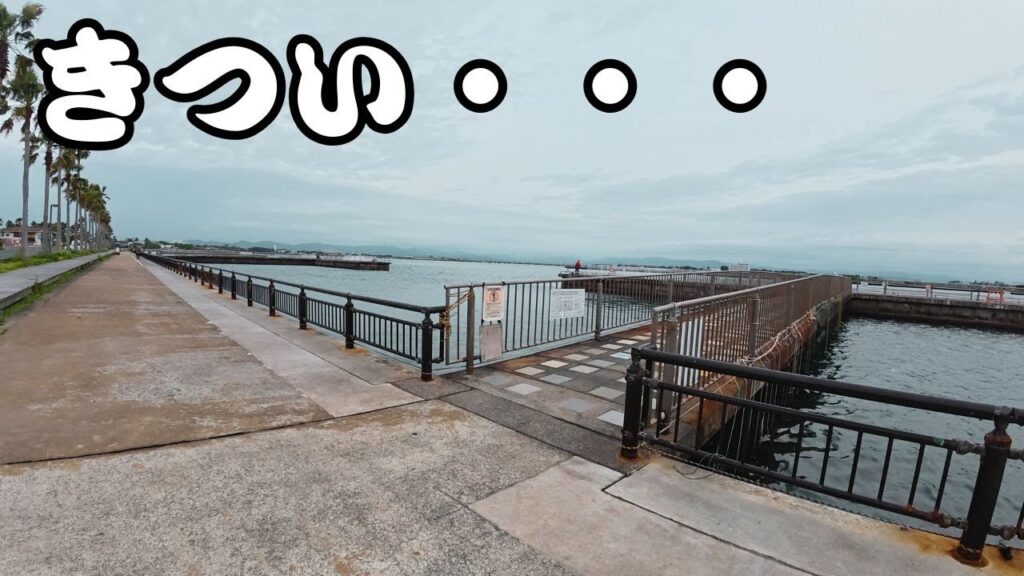 【浜名湖釣りキャンプ】の現実はそんなに甘くなかった・・・