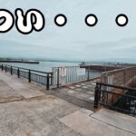 【浜名湖釣りキャンプ】の現実はそんなに甘くなかった・・・