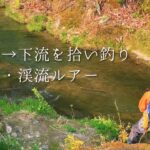 会津【渓流釣り】源流〜下流、軽快にヤマメ、イワナの釣り歩記。銀輝ヤマメも！