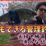 【エリアトラウト】お花見もできる管理釣り場で、数釣りバトルしてみた【秋田】