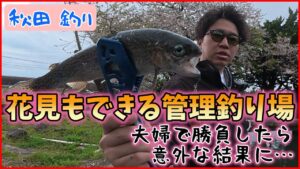 【エリアトラウト】お花見もできる管理釣り場で、数釣りバトルしてみた【秋田】