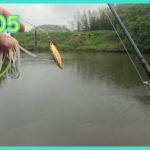 【印旛水系】久しぶりのいつもの場所【バス釣り】