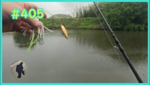 【印旛水系】久しぶりのいつもの場所【バス釣り】