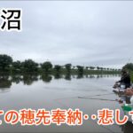 びん沼でへらぶな釣り！初めての穂先奉納‥へらぶな釣り始めるきっかけになった龍神村長ロッドが‥大切な思い出が詰まってるのに悲しすぎる。