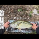 【柴山沼】モンスター降臨！！【バス釣り】