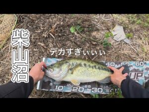 【柴山沼】モンスター降臨！！【バス釣り】