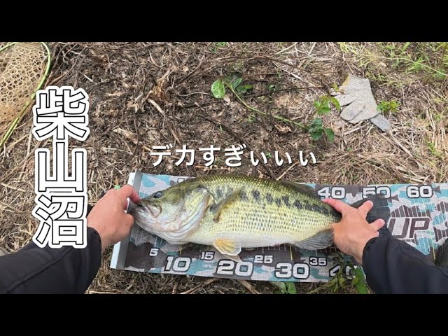 【柴山沼】モンスター降臨!!【バス釣り】