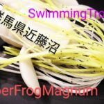 【梅雨の近藤沼】マグナム蛙をトゥルーパーする【バス釣り】【スイミングトゥルーパー】