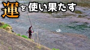 【驚愕】地元の人も「こんな光景は初めて」吾妻川で一体何が…？