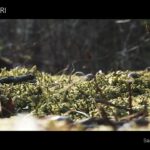 春が訪れはじめたとある日【蛇尾川フィッシングパーク】【管理釣り場】【エリアトラウト】