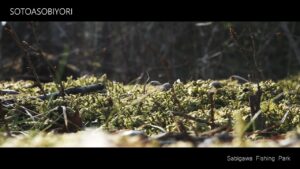 春が訪れはじめたとある日【蛇尾川フィッシングパーク】【管理釣り場】【エリアトラウト】