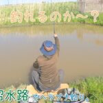 手賀沼水路で初挑戦！ 見よう見まねで〇〇は釣れるのか～？  千葉県柏市 手賀沼水路でヘラブナ釣り。