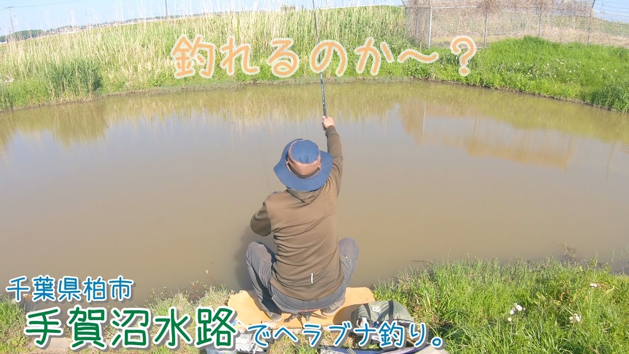 手賀沼水路で初挑戦! 見よう見まねで〇〇は釣れるのか~? 千葉県柏市 手賀沼水路でヘラブナ釣り。