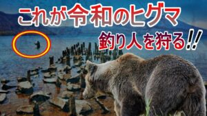 【注意喚起】ありえない…支笏湖に釣り人を狩るヒグマ出没【すずしん工房コラム】第十回