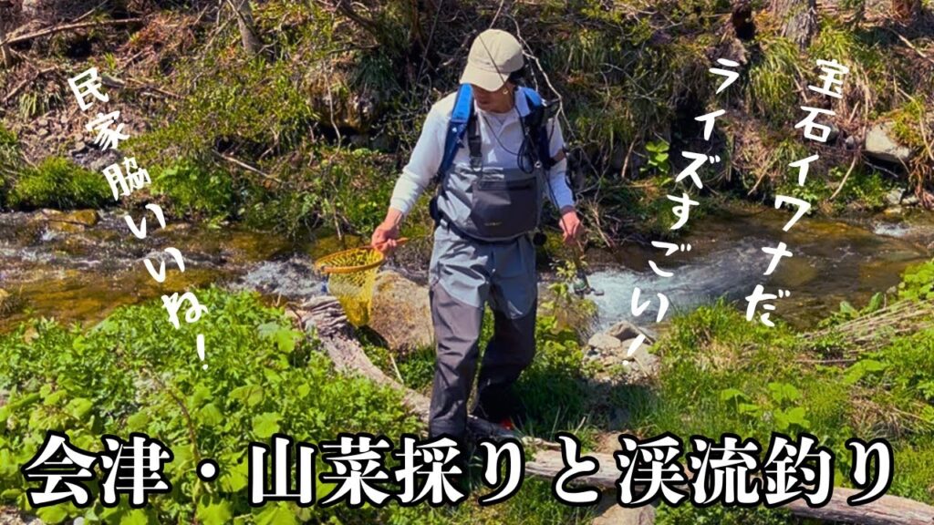 山菜採りとイワナ釣り…ライズショーにルアーを投げてみました【会津・渓流釣り】