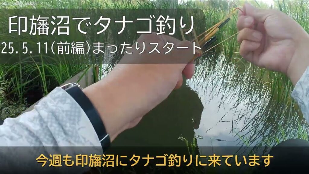 印旛沼タナゴ釣り(前編)、まったりスタート