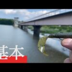 ゲーリー４インチグラブ 小貝川 バス釣り スモールマウス