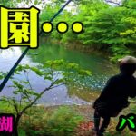 【いなさ湖】楽園で釣りをしたら最高過ぎた！【バス釣り】【シャーベットヘアーチャンネル】【都田川ダム】