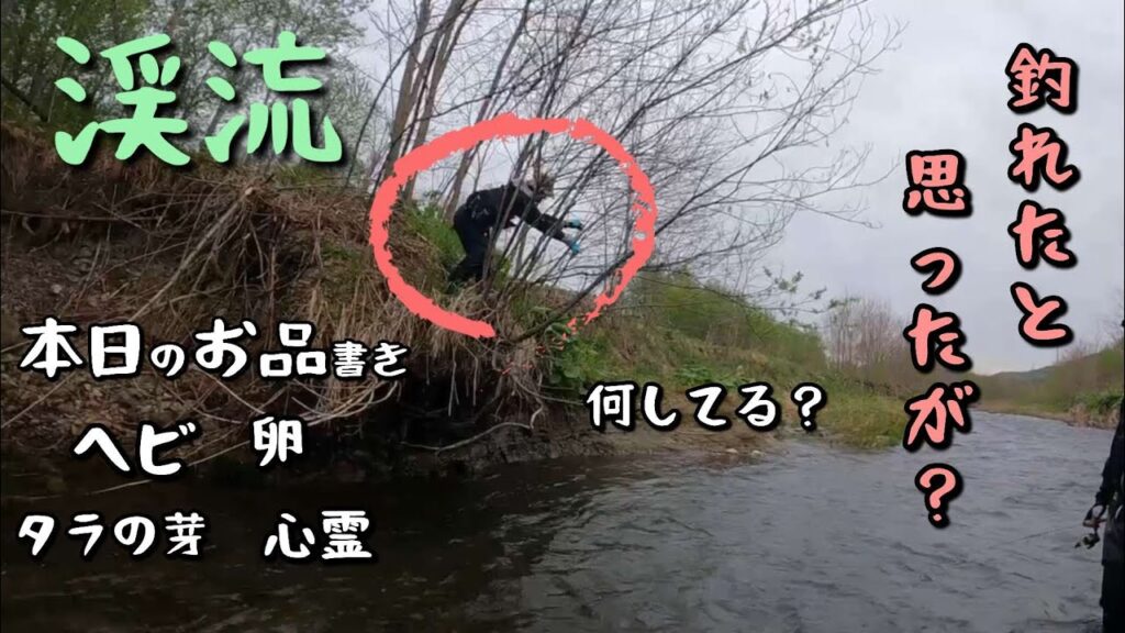 【渓流釣り】無念！フッキングが甘かった！逃がした魚は大きかった？
