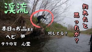 【渓流釣り】無念！フッキングが甘かった！逃がした魚は大きかった？