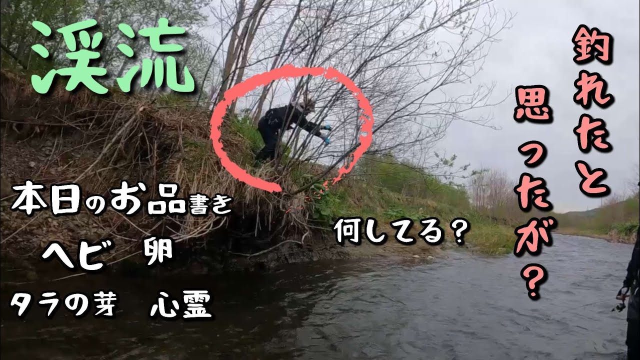 【渓流釣り】無念！フッキングが甘かった！逃がした魚は大きかった？