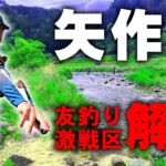 解禁初日に行ったらとんでもないことに…【おど地区 鮎釣り】