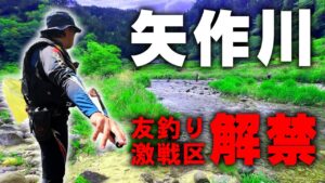 解禁初日に行ったらとんでもないことに…【おど地区 鮎釣り】
