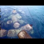 【衝撃】テトラ帯からの大物釣りがガチでやば過ぎた。