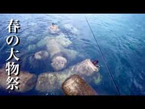 【衝撃】テトラ帯からの大物釣りがガチでやば過ぎた。