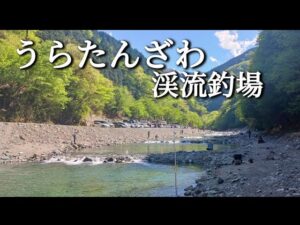 管理釣場を存分に楽しむ方法【うらたんざわ渓流釣場】