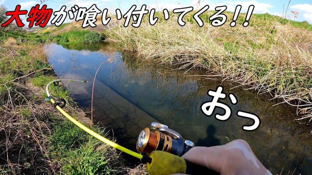 大物が釣れる水路と川