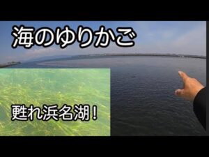 甦れ豊かな浜名湖！海のゆりかご、アマモ場再生への挑戦