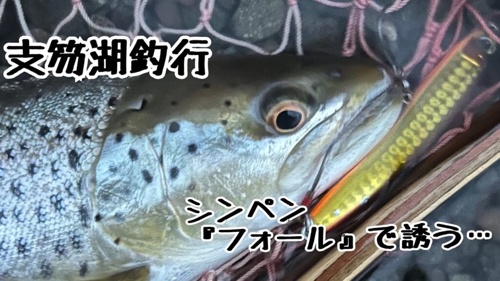 【支笏湖釣行】ブラウントラウト　シンペン　フォールで誘う…