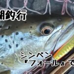 【支笏湖釣行】ブラウントラウト　シンペン　フォールで誘う…
