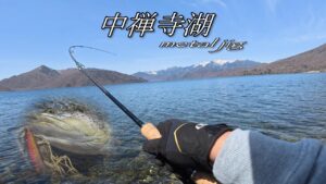 【トラウト】中禅寺湖 今シーズンは中々です💦