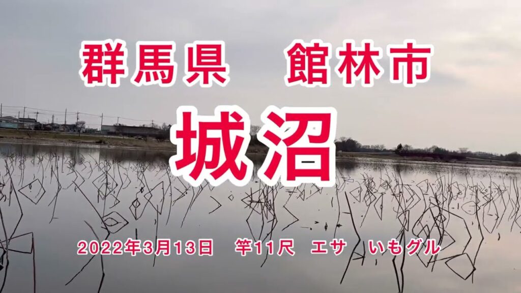 群馬県館林市　城沼　夕方からの春の野釣り　尺べらをねらえ！