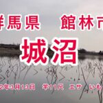 群馬県館林市　城沼　夕方からの春の野釣り　尺べらをねらえ！